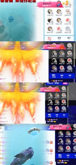 北家黄er～主播照片