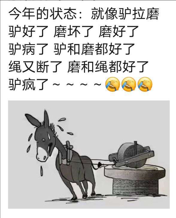 大琪琪～～～的主播照片