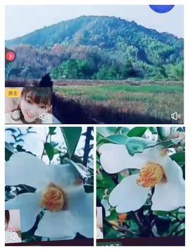 婷求三个火山升级的图片