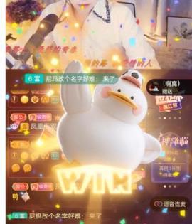 👋掏~主播照片