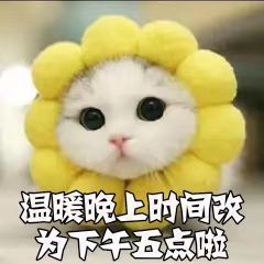 温暖宝宝💰想吃饱饱主播照片