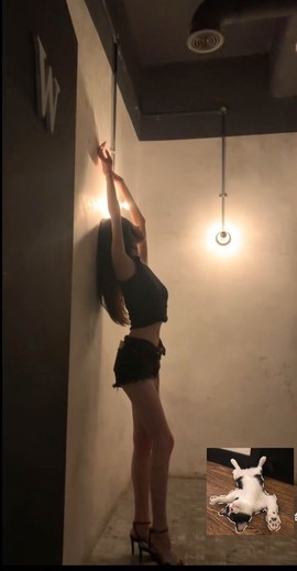 小蒲爱播🎀的图片