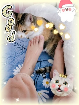 倾城🌸跳舞最哇塞主播照片