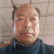 打乒乓球的黄金蟒的头像