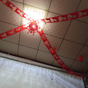蕾宝520头像