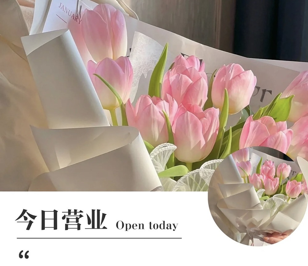 跑调嘉💟休的图片