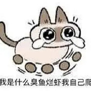 小小橘橘