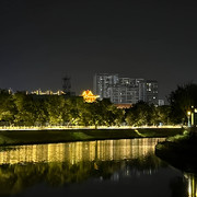 放飞的鸽子_