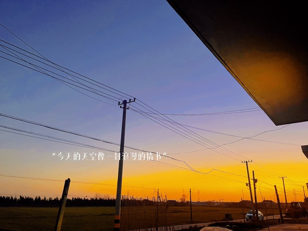 虹宝❣️出没了的图片
