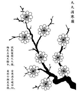 超持久“桑拿天”来了主播照片