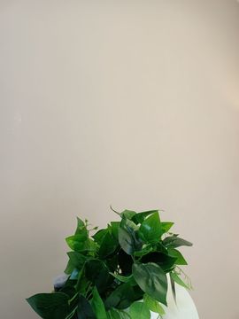 仙仙贺我鱼升帝圣主播照片