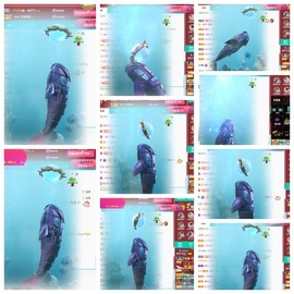 萱萱休息主播照片