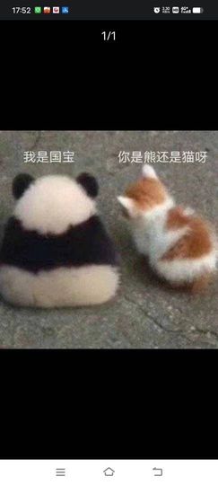 六横十二纵的图片