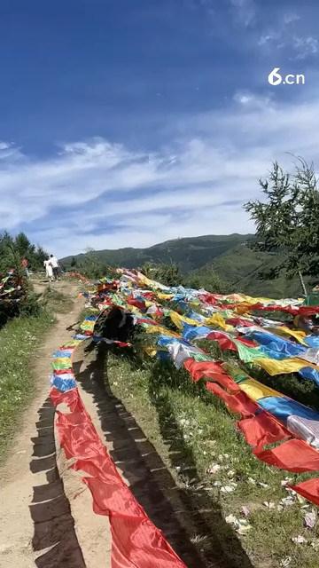 愿得一人心！求得世界皆安康！！