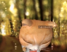 甜蜜未来乐在心怀主播照片