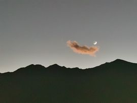 猴哥旅居代购主播照片