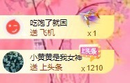 北家黄er~主播照片