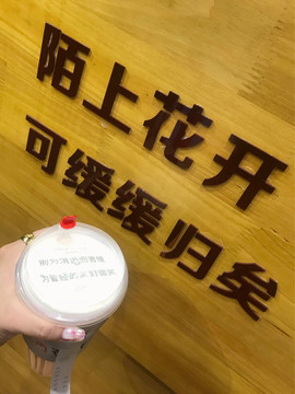 Rainlinesღ的图片