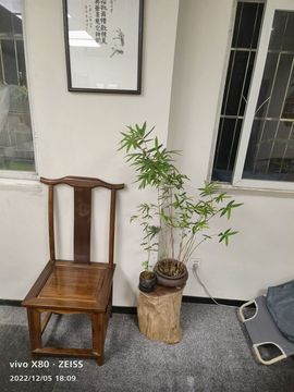 戰神大元帥黎歌主播照片