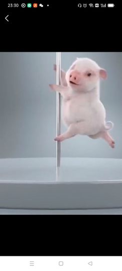 萌新宝宝7BBUVC主播照片