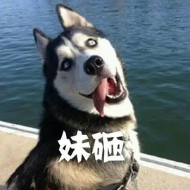 看你长的像二维码似的主播照片
