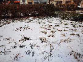 超持久“桑拿天”来了主播照片
