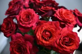 September★主播照片