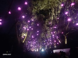 南边等你主播照片