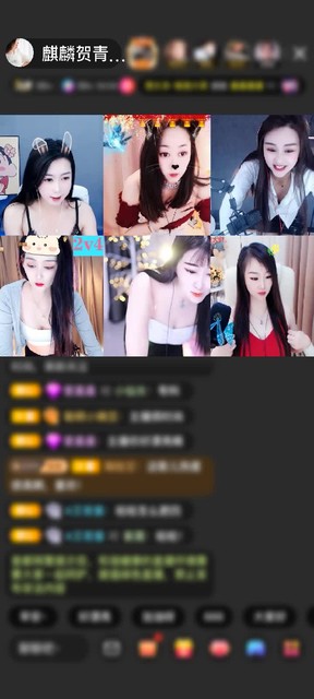 感谢4专9@六不属@赠送神兽朱雀2个