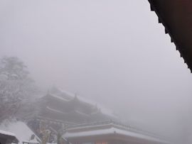 呀呀哟嘿、主播照片