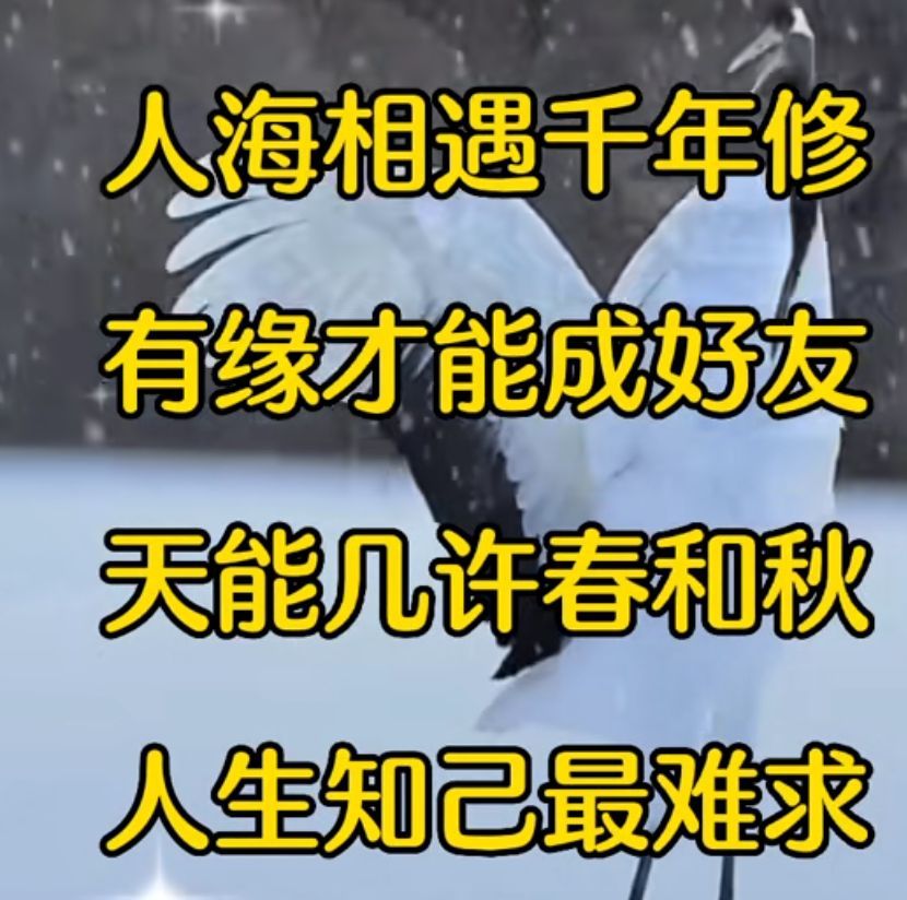 丑小鸭💞愿有一束光的图片