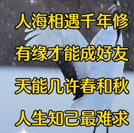 丑小鸭🍑愿有一束光主播照片
