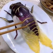 看杂志的信天翁