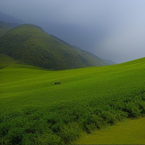 春青点亮未来的主播照片