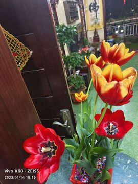 我元帥哥哥主播照片