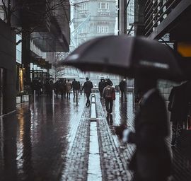 六横十二纵的图片