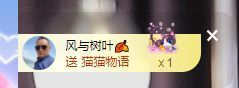 婷儿～所遇皆甜主播照片