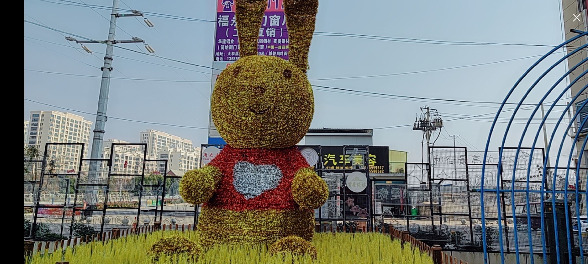 婷婷💕感恩有你陪伴的图片