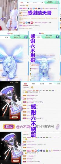 金麒麟安静唱歌🎤主播照片