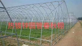 天津大棚管厂（实体）主播照片