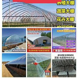 天津大棚管厂（实体）主播照片