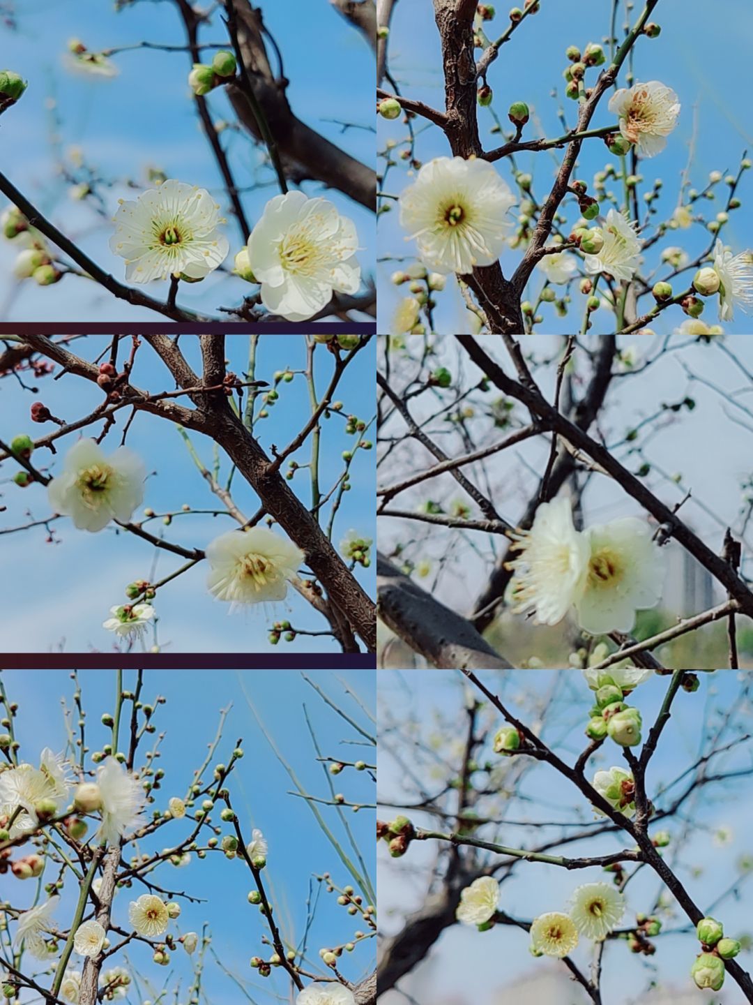 婷婷💕感恩有你陪伴的图片