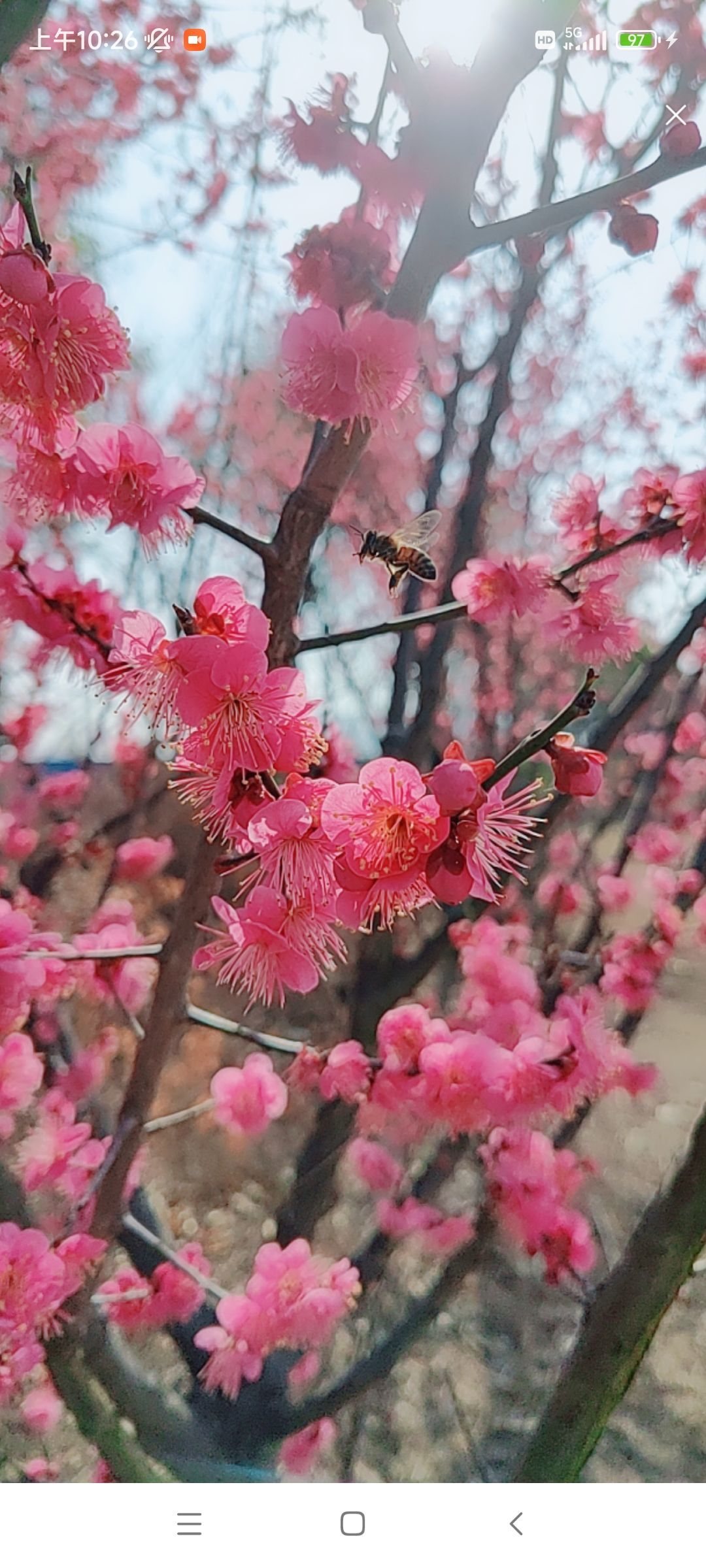 婷婷💕感恩有你陪伴的图片