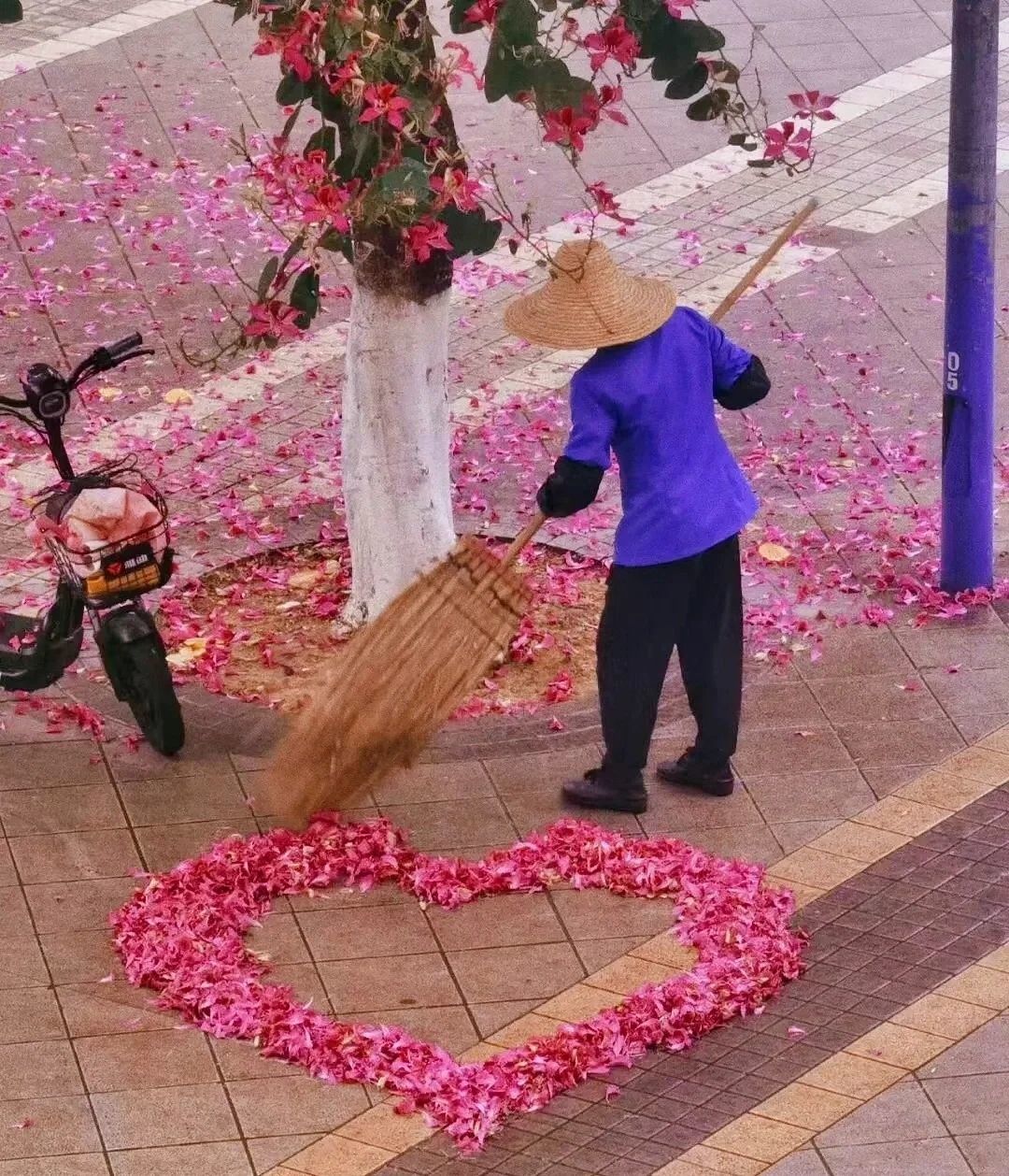 夏至🌸等我回来的图片