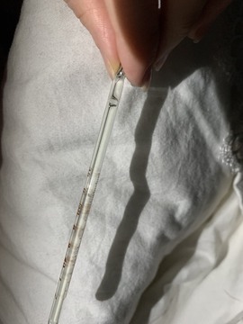 夏目💕七养病主播照片