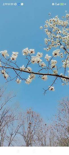 婷求三个火山升级的图片
