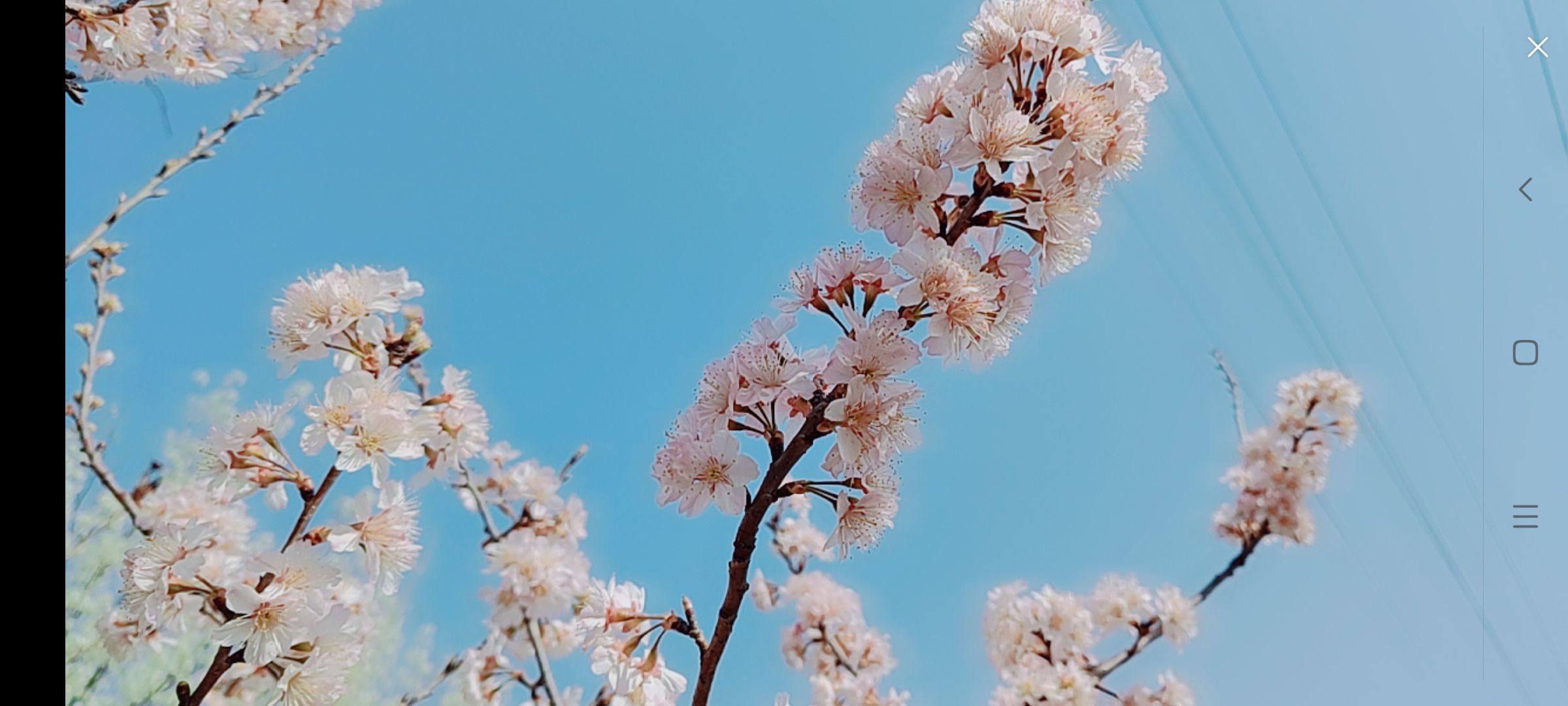 婷婷💕感恩有你陪伴的图片