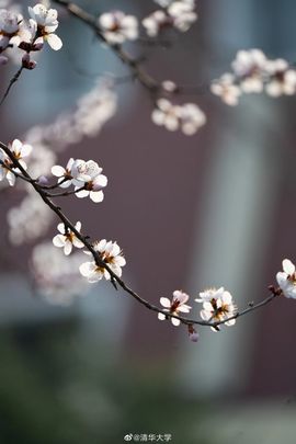 超持久“桑拿天”来了主播照片