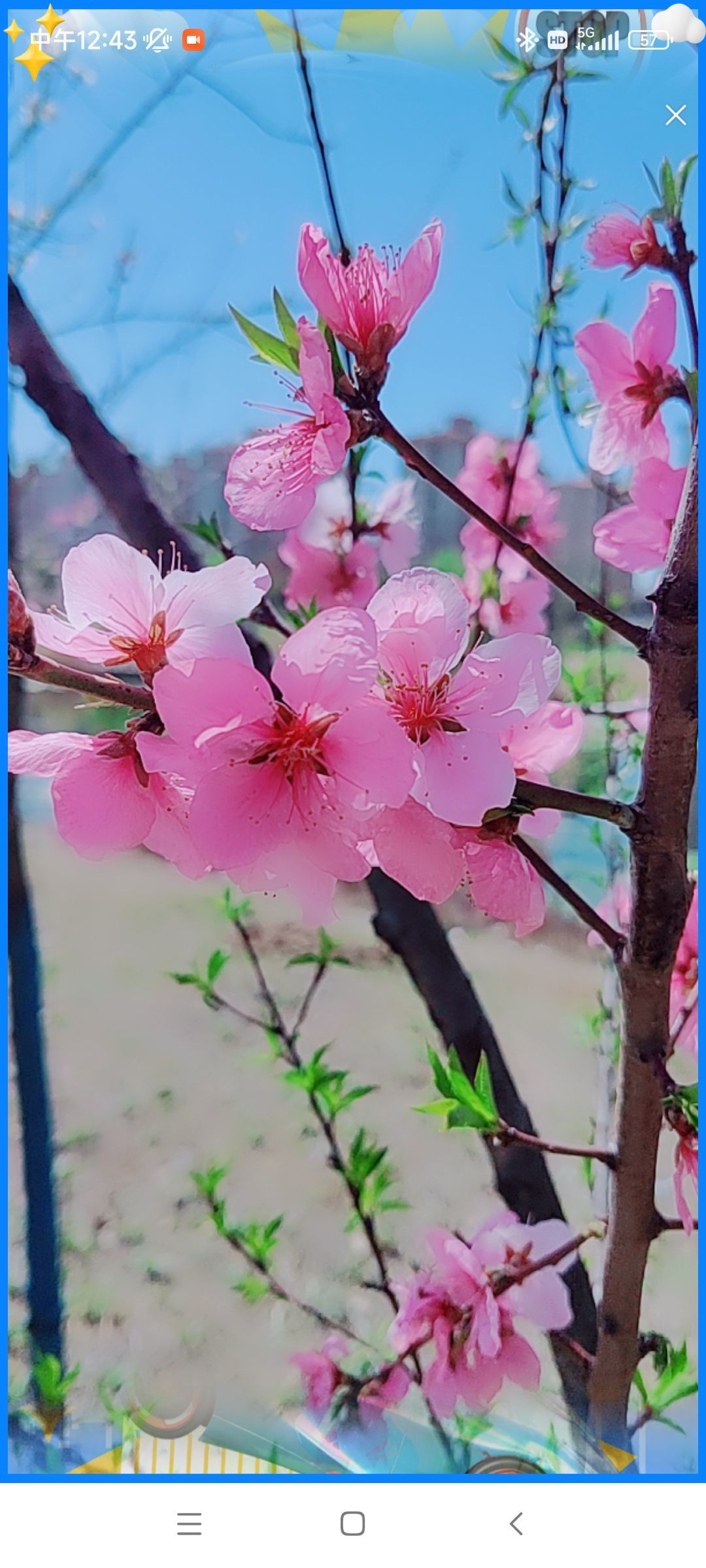 婷婷💕感恩有你陪伴的图片