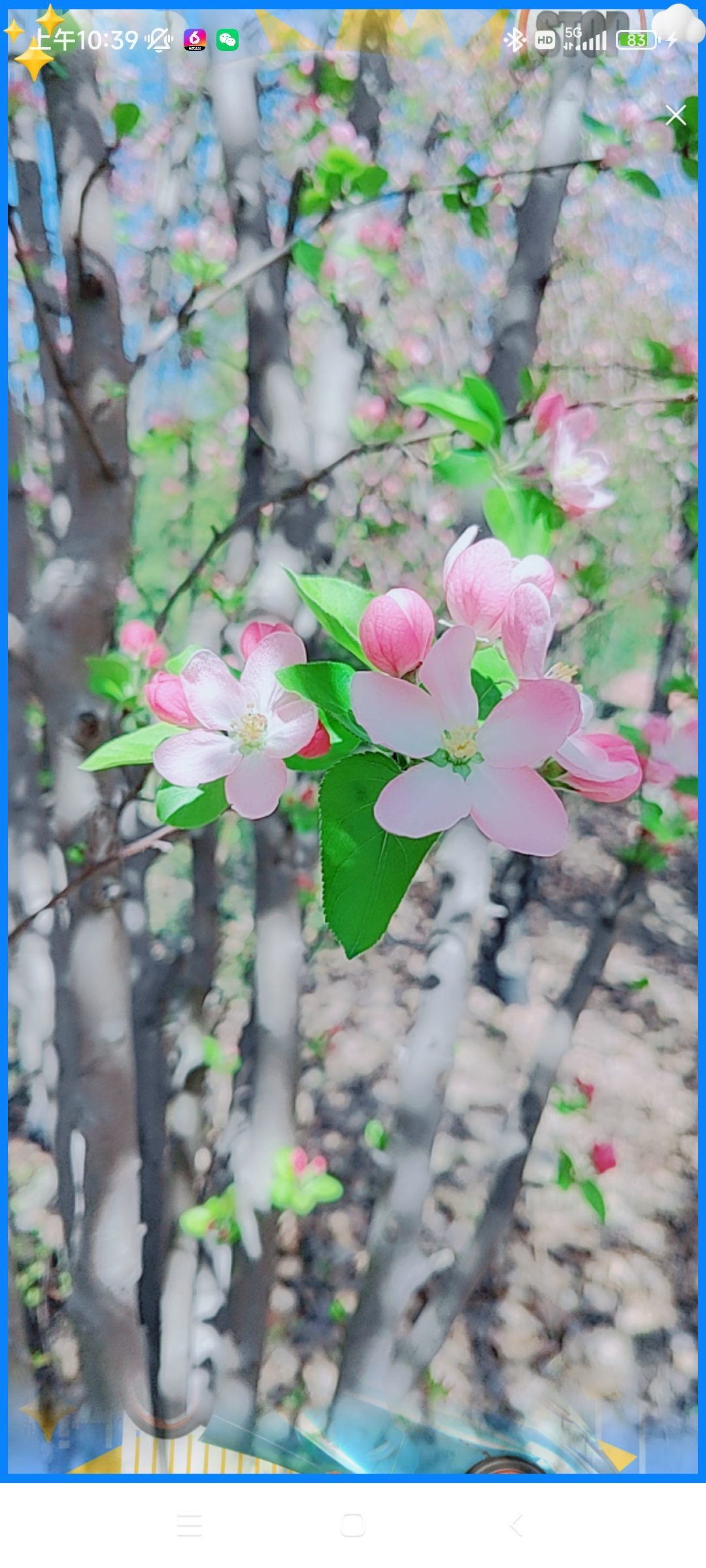 婷婷💕感恩有你陪伴的图片